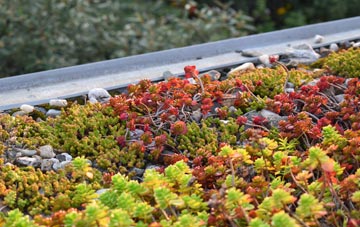 the cost of Edingley green roof installation