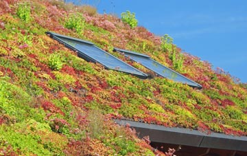 Edingley living roof systems